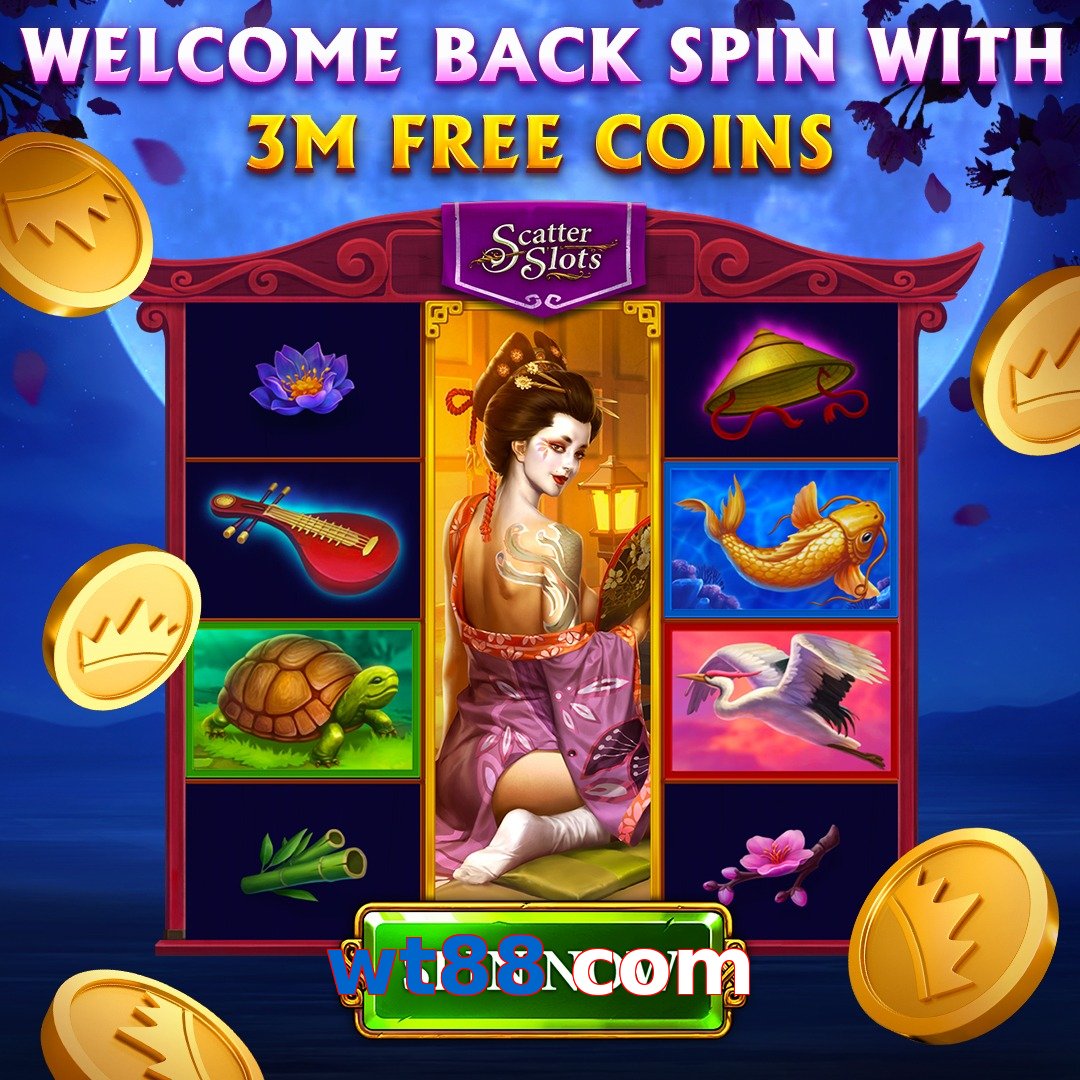 wt88 com